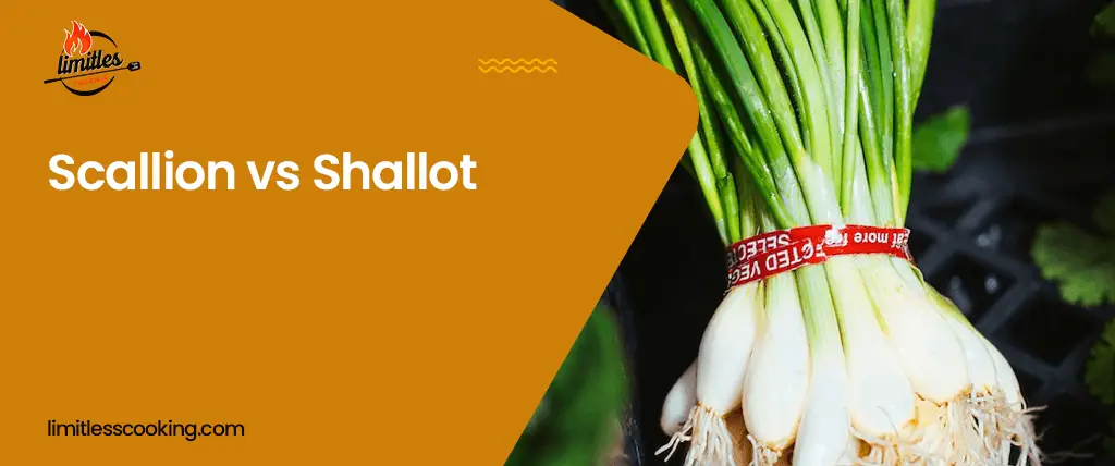 Scallion vs Shallot: Everything You Need To Know